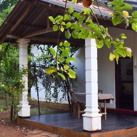 Senu Homestay Sigiriya Exteriér fotografie